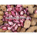 High Yield Peanut Seeds For Cultivation-All Varieties For Sale